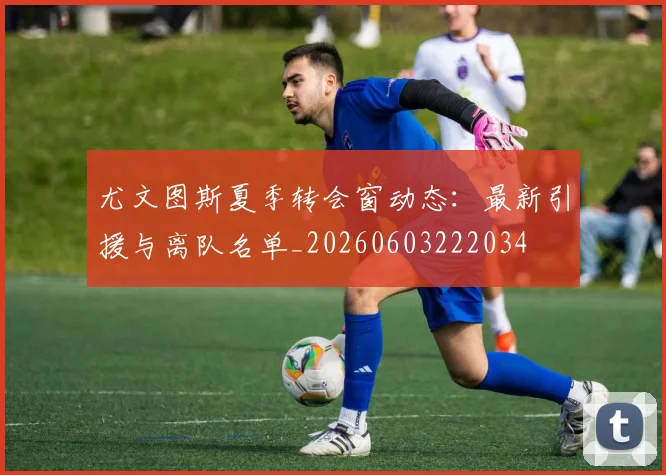 尤文图斯夏季转会窗动态：最新引援与离队名单_20260603222034